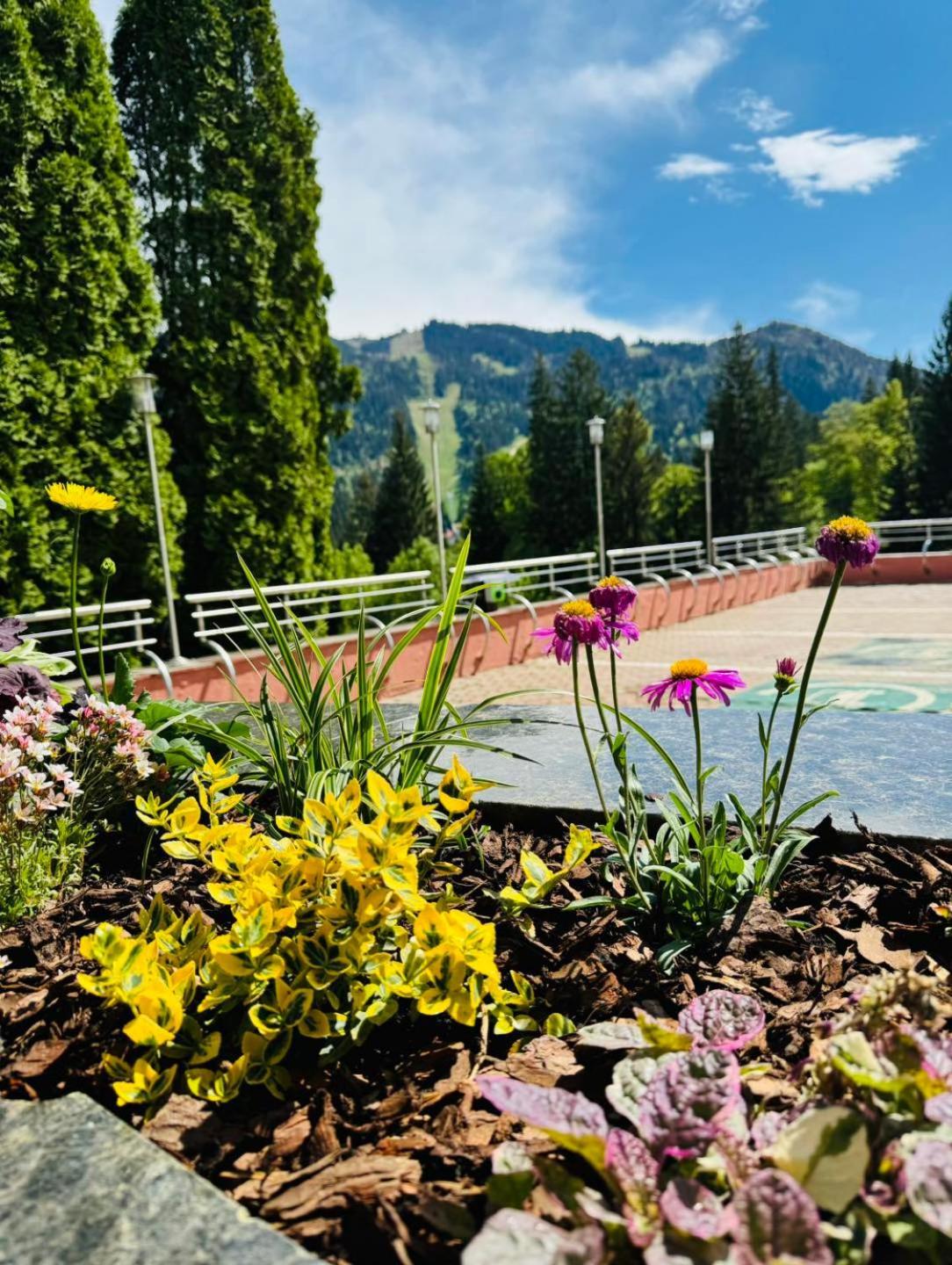 Hotel Piatra Mare Poiana Brasov Ngoại thất bức ảnh